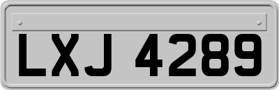 LXJ4289