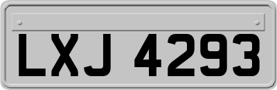 LXJ4293