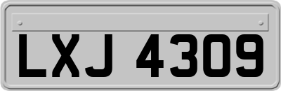 LXJ4309