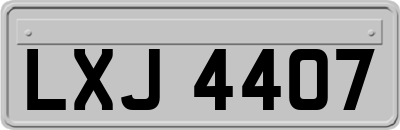 LXJ4407