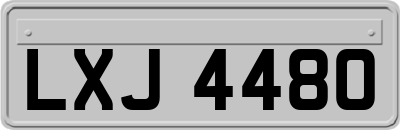 LXJ4480