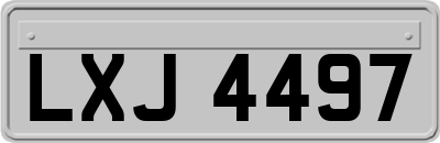 LXJ4497
