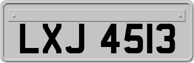 LXJ4513