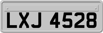LXJ4528