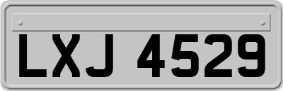 LXJ4529