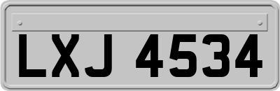 LXJ4534