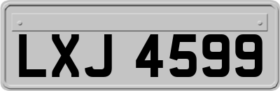LXJ4599