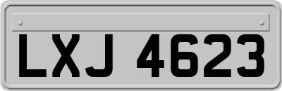 LXJ4623