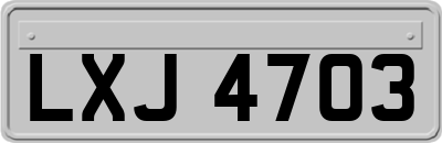LXJ4703