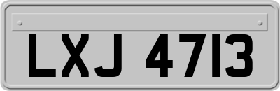 LXJ4713