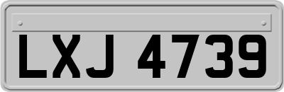 LXJ4739