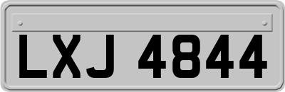 LXJ4844