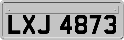 LXJ4873