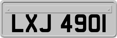 LXJ4901