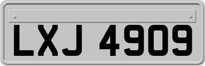 LXJ4909