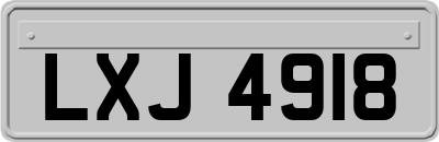 LXJ4918