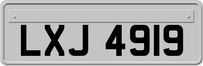 LXJ4919
