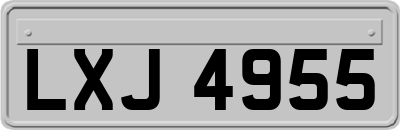 LXJ4955