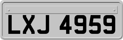 LXJ4959