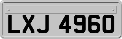 LXJ4960