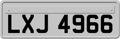 LXJ4966