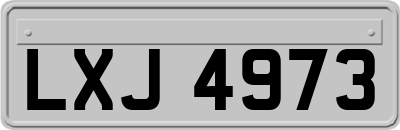 LXJ4973