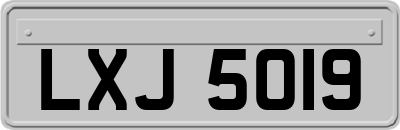 LXJ5019