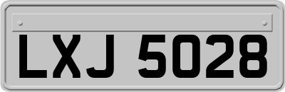 LXJ5028