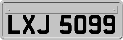 LXJ5099
