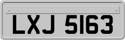 LXJ5163