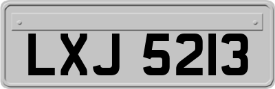 LXJ5213