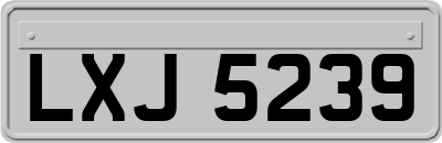 LXJ5239