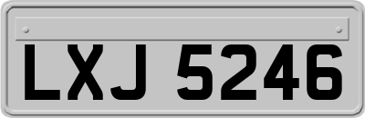 LXJ5246