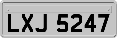 LXJ5247