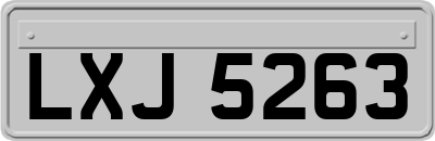LXJ5263