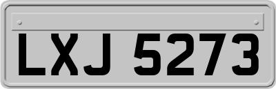 LXJ5273
