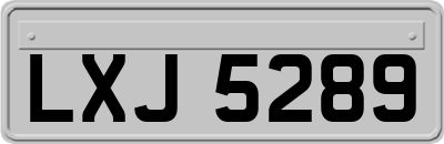 LXJ5289