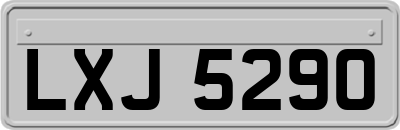 LXJ5290