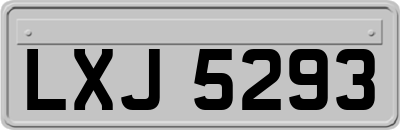 LXJ5293