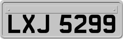 LXJ5299