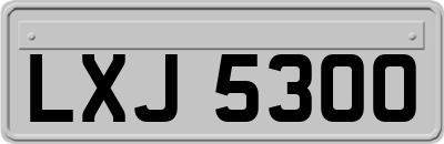 LXJ5300