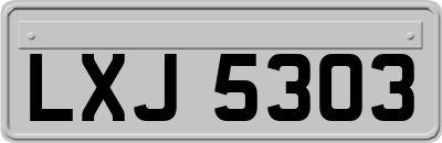 LXJ5303