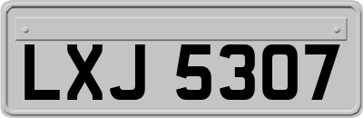 LXJ5307