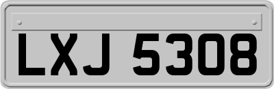 LXJ5308