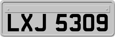 LXJ5309