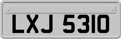 LXJ5310