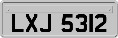 LXJ5312