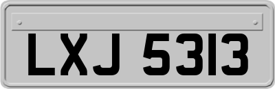 LXJ5313