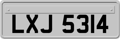 LXJ5314