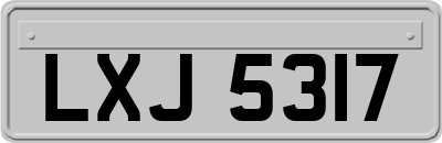 LXJ5317